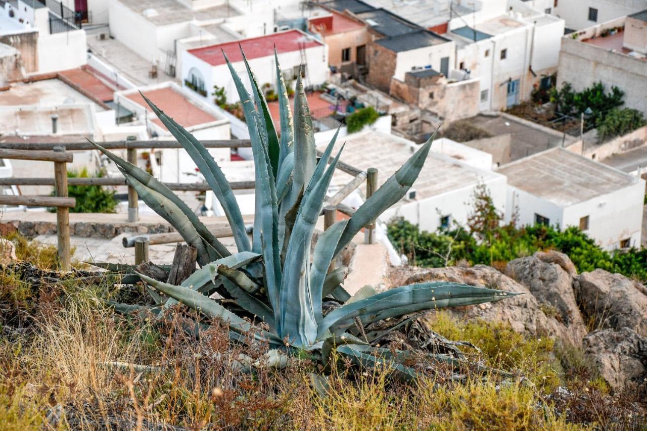 Nijar Bella Y Su Parque Natural Cabo De Gata Eksteriør billede